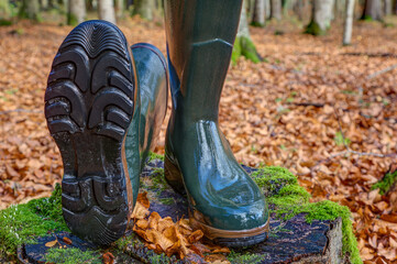 A lying and a standing rubber boot in the autumn forest. For hunters, hikers and everyone who likes...