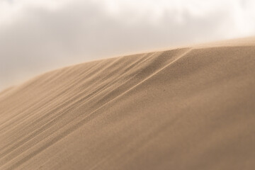 Fototapeta na wymiar Fine texture and lines of sandy dunes in a desert.
