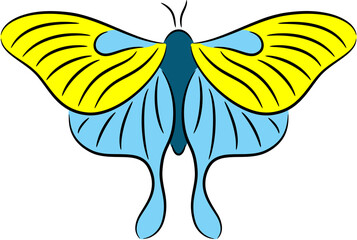 Vector illustration of a butterfly, isolated