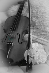 Violine mit Deko und Blume