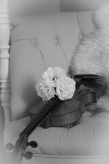 Violine mit Blume