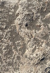 texture of the stone