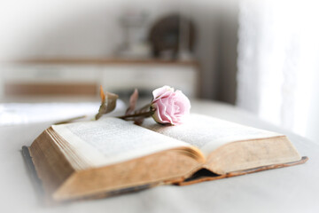Aufgeschlagenes Buch mit rosa Rose