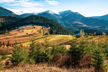 Deforestation in the mountains of Carpathian, view on a beautiful cloudy warm day