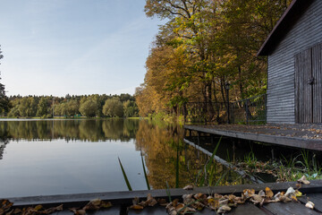 Reflection of the autumn forest in the lake