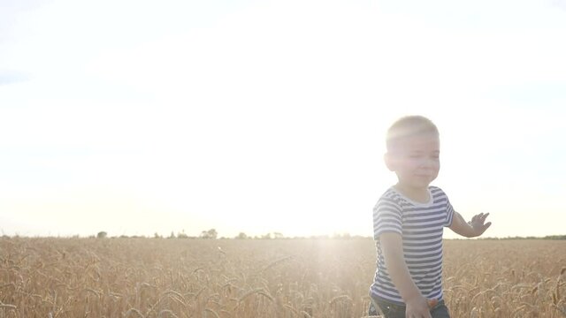 boy run across a wheat field in the park. happy family kid dream concept. boy running across a yellow field in the park. kid son run dream. happy family fun and childhood concept