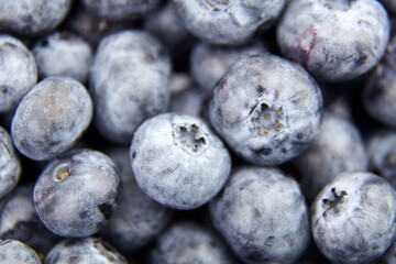 Fresh blueberry as food background
