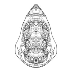 Shark Jaw Illustration Series 1