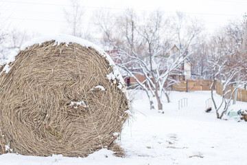 a roll of hay under a cap of snow against the backdrop of a snow-covered landscape.