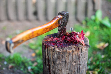 A bloody chicken head is lying on a old stump. Slaughter of poultry. An axe stuck in a stump.