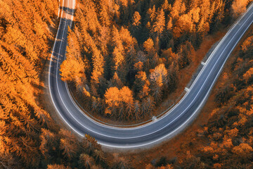 Aerial view of road in beautiful forest at sunset in autumn. Top view from drone of asphalt road in...