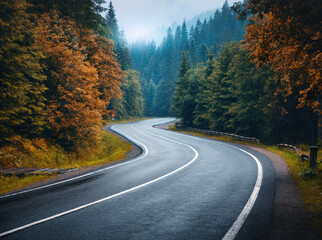 Road in autumn foggy forest in rainy day. Beautiful mountain roadway, trees with orange foliage in fog and overcast sky. Landscape with empty asphalt road through the woods in fall. Travel. Road trip