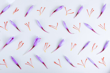 Saffron buds with stamens laid out on a white background.