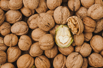 Fresh Chopped Walnut. Food background. Walnut kernels close-up. Walnuts whole in their skins, chopped, nut hulls, walnut kernels