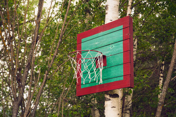 Homemade basketball basket on birch in nature.