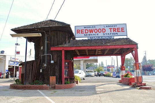 Ukiah, California: World's Largest Redwood Tree Service Station, made from a 1,500 year old tree selected from the coastal redwood forests west of Ukiah. Nicknamed "The Stump" by locals.