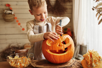 Cute little boy in apron scooping out all pulp from large orange pumpkin while carving...
