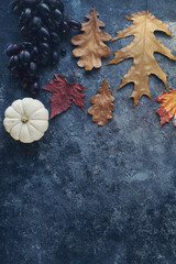 Seasonal composition with  pumpkin, grapes and autumn leaves on dark stone table in daylight