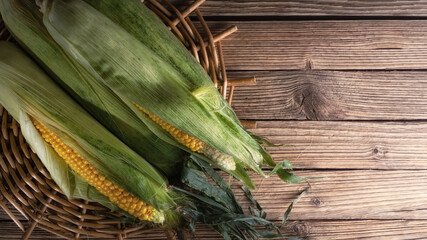 ripe sweet corn lies on old boards. view from above. autumn rustic concept with copy space