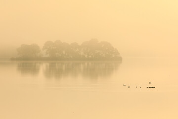 大沼国定公園大沼湖畔の夜明け