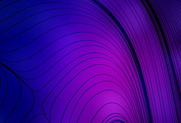 Dark Purple, Pink vector backdrop with curved lines.