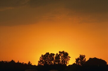 Orange sunset. 