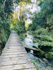 Naklejka premium wooden bridge in the forest