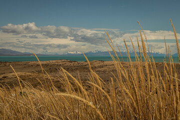 Patagônia Argentine