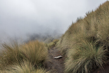 Fog over the mountain and trails