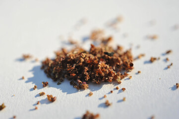 close up of cigarette