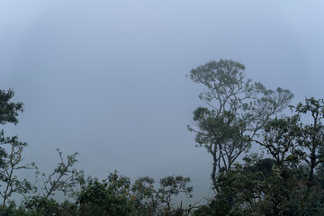 The Misty Mountains Cold of Choachi, Colombia