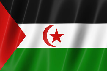 Western Sahara flag of silk-3D panoramic  illustration