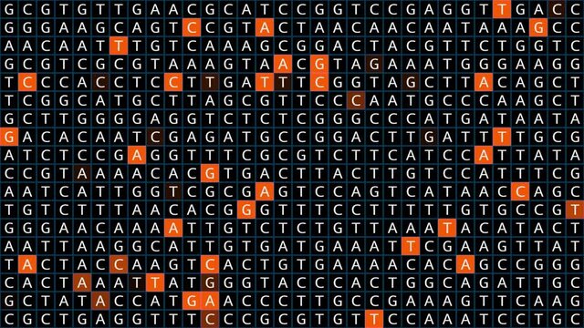 Loopable: Genetic mapping DNA sequence analysis abstract background with letters A,G,C,T in tileable grid with orange squares. Big genomic data analysis concept.