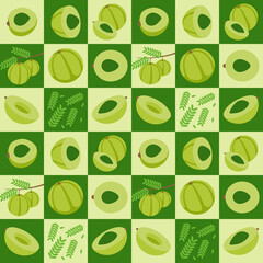 Gooseberry also known Amla abstract seamless geometric vector pattern for packaging design