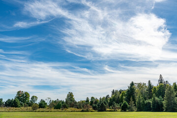 Whispy Clouds over a Groomed Field near a Forest
