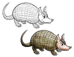 Armadillo cartoon -  Line and Color