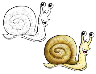 Snail cartoon -  Line and Color