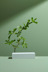 Natural minimal beauty pedestal. Empty cosmetics podiums on green background with shadow and leaves for product.
