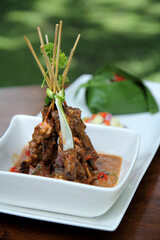 satay traditional food made from grilled chicken with peanut sauce