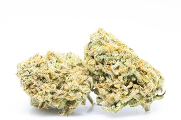 Pink Hammer - Cannabis 2 Buds