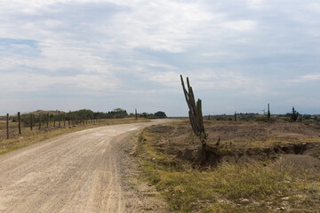 Tatacoa desert, located in the north of huila, Colombia