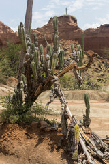 Tatacoa desert, located in the north of huila, Colombia
