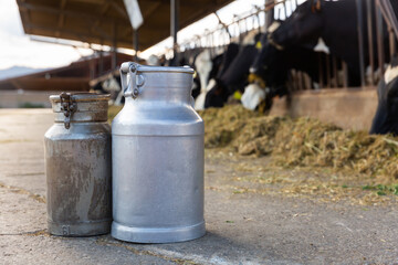 Closeup of aluminum cans with fresh cow milk standing outdoors on blurred background of open...