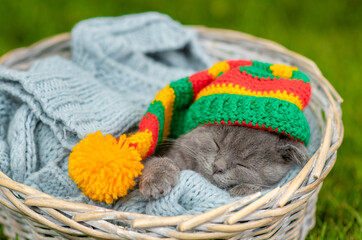 Cozy kitten wearing warm hat sleep inside a basket on green summer grass