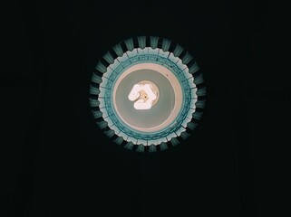 flower lamp