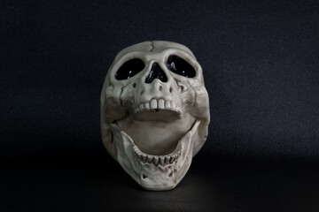 human skull with open mouth