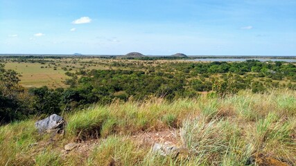 Obraz premium grass and sky