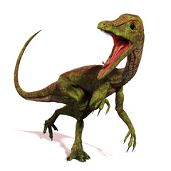 Compsognathus longipes attack, small dinosaur from the Late Jurassic period, isolated on white background