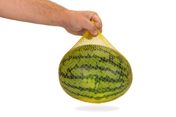 hands hold a watermelon in a string bag on a white background. berry in a yellow grid. concept of...