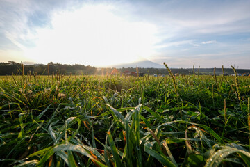 静岡県富士宮朝霧のキャンプ場